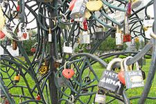 "Пилите , Шура, пилите!"