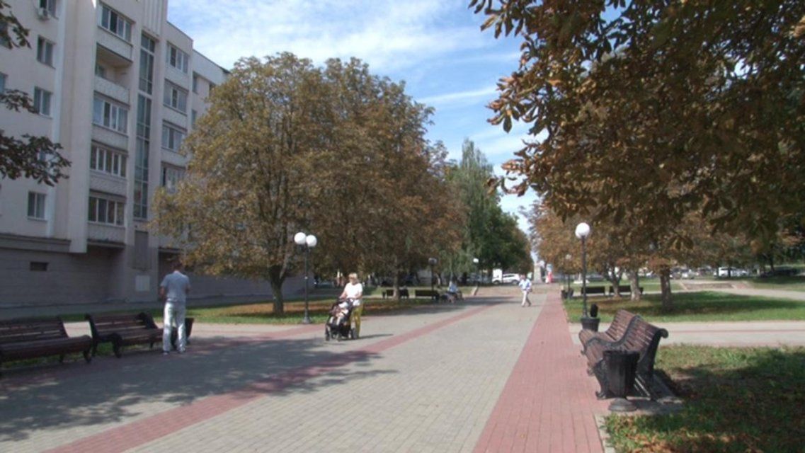 Почти полмиллиона рублей в Орле потратят на избавление каштанов от вредителей 