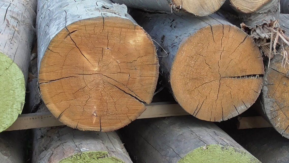 При распиле бревен орловчанин случайно нанес смертельную травму возлюбленной