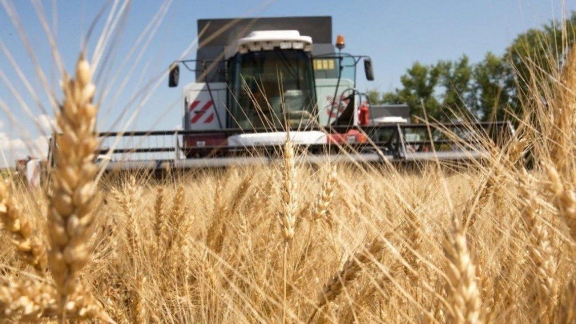 На Орловщине стартует традиционная аграрная неделя