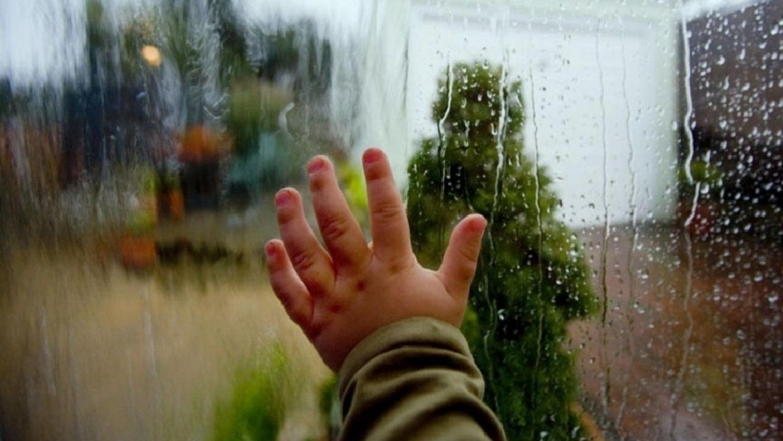 Воскресенье в Орле будет дождливым, но теплым