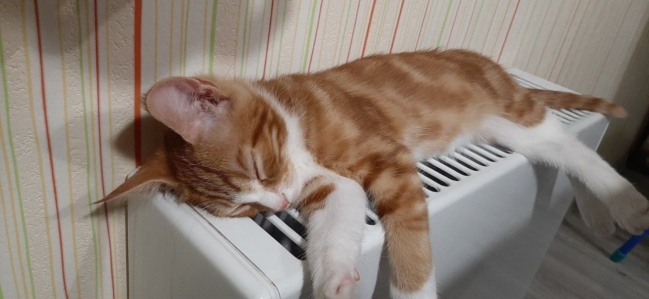 Отопительный сезон в Орловской области набирает обороты