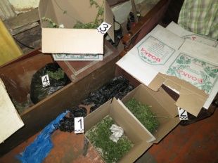 Полицейские нашли у амчанина более килограмма марихуаны