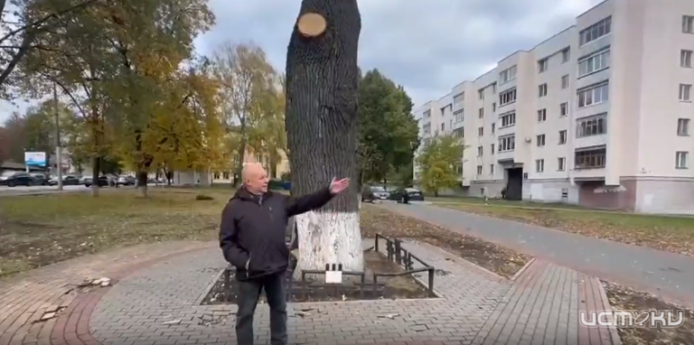 Судьба дуба на Бульваре Победы в Орле и состояние экологи в нашей области нам рассказал вечерний гость