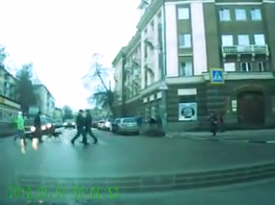 В Орле животные соблюдают ПДД! 