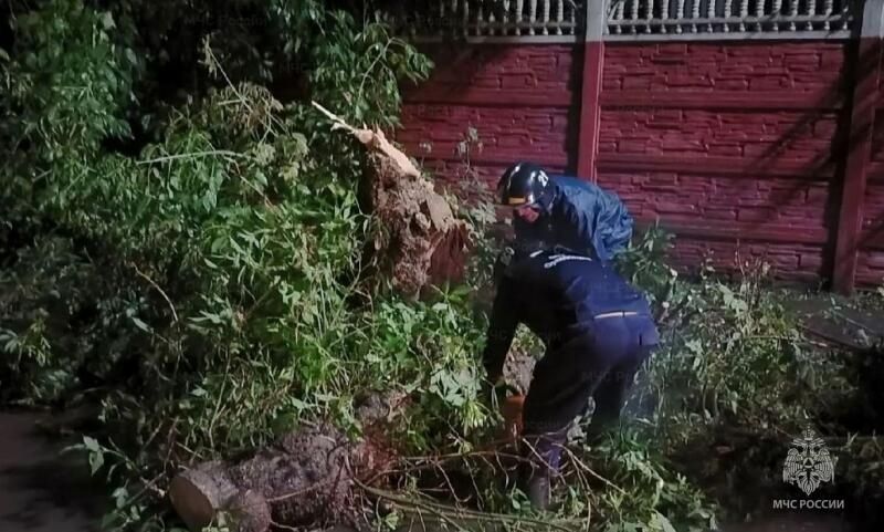 Холодный фронт ударил по Орловщине: 9 упавших деревьев, сбои в электроснабжении и работа аварийных бригад