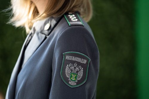 В трех орловских кафе готовили блюда из сомнительного мяса