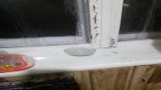 Под звуки капели: в квартире орловчанки текут не весенние ручьи, а потолок