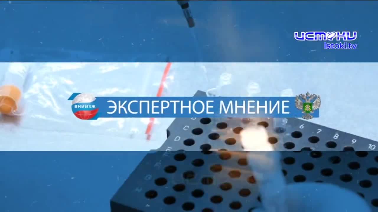Экспертное мнение 05.08.2026