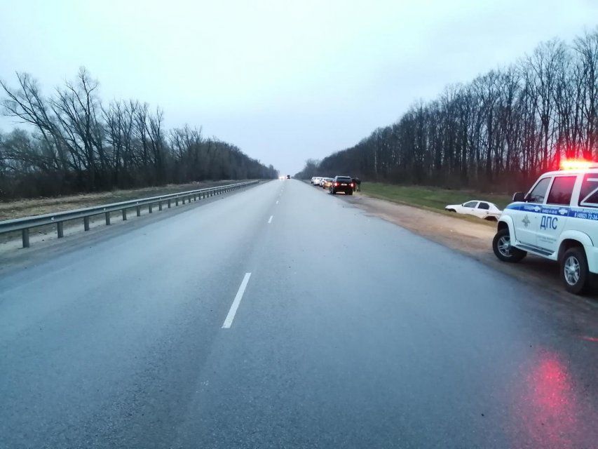 На Орловской трассе не разошлись «Тойота» и «Рено». Один из водителей пострадал