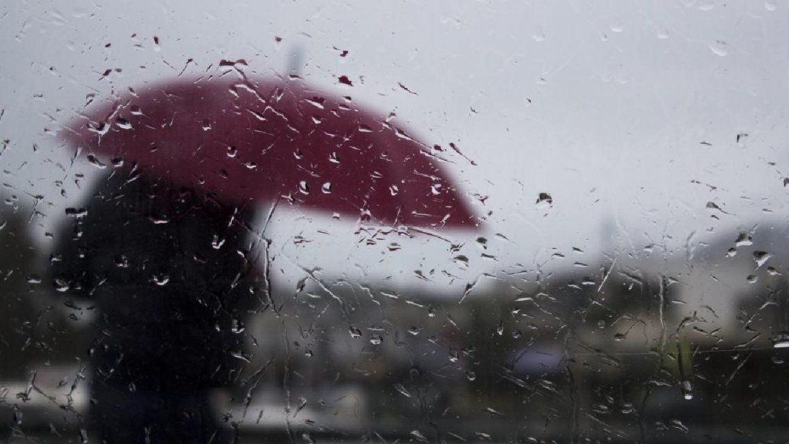 Последний день осени в Орле будет дождливым и ветреным