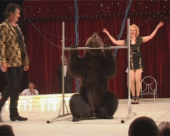 Цирк Романа Коробко в Орле