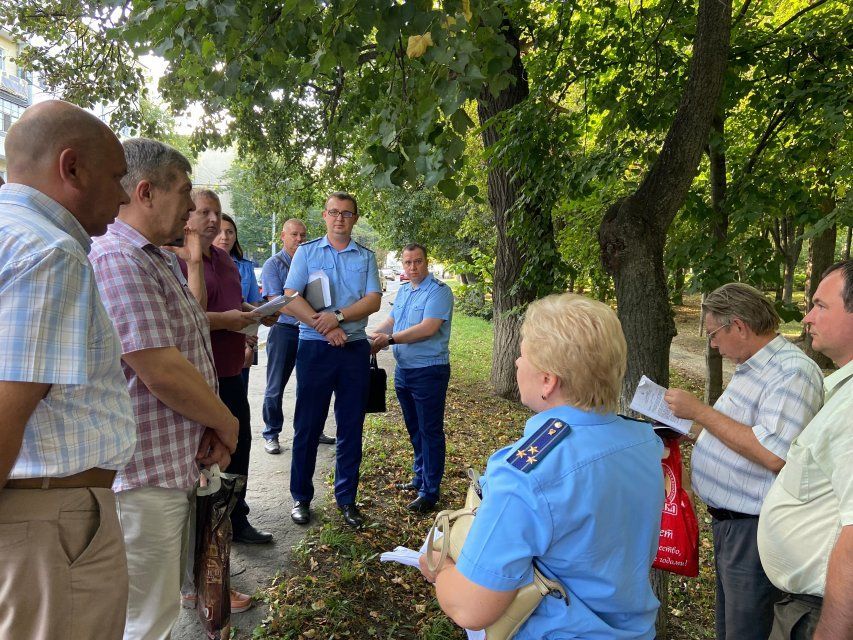 Прокуратура заинтересовалась планами чиновников вырубить более 60 деревьев на ул. Пионерской