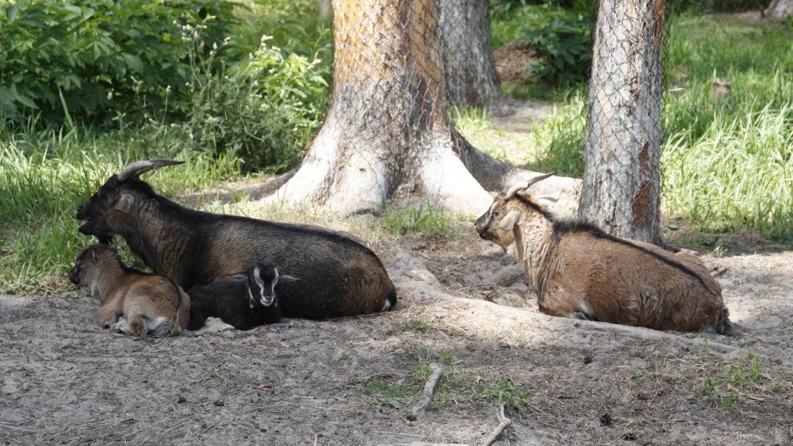 Хотынецкий природный парк выберет лучший проект реконструкции