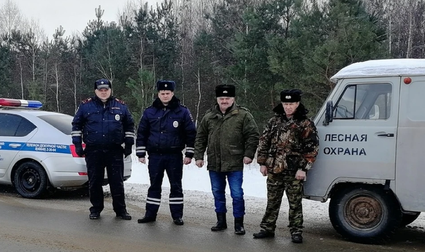 В Орловской области охотников за елками будут наказывать