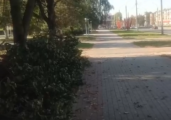 Новый победитель традиционного конкурса "Истоков"