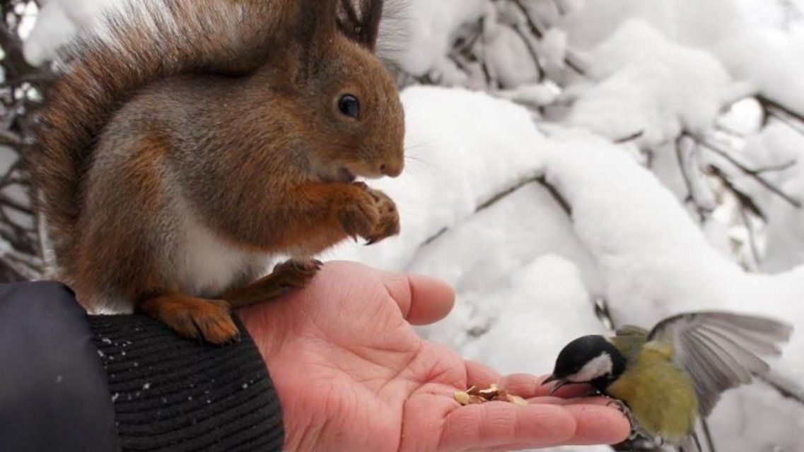 Орловчане могут принести гостинцы обитателям зооуголка и террариума