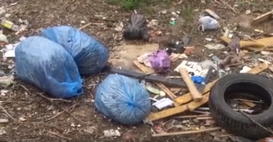 Двор на улице Комсомольской погряз в антисанитарии