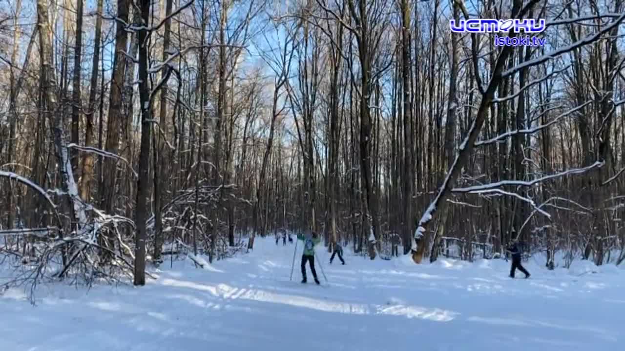 Ориентировщики опробовали новый физкультурный комплекс. В Старый Новый год, невзирая на изменчивую погоду, любители леса и топографии вышли на старты