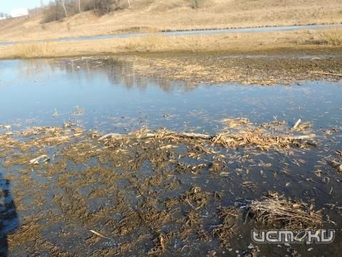 Экологическая катастрофа в д. Волково