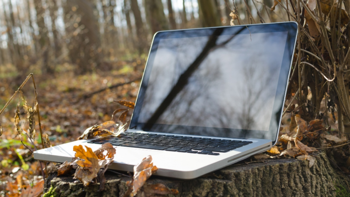 В 2020 году «Ростелеком» построил в ЦФО 269 точек доступа по программе УЦН