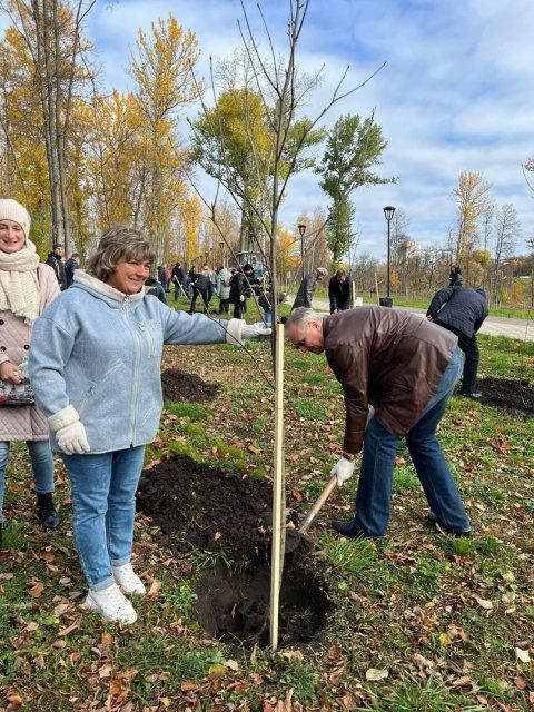 В Орле «Парк Победы» пополнили еще 25 рябин