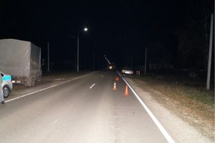 Разыскиваются очевидцы ДТП со сбитым пешеходом под Орлом