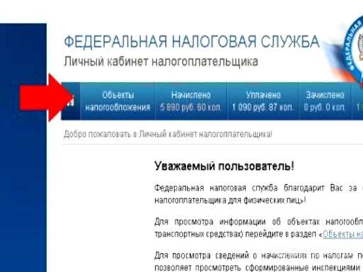 Орловчане активно используют Личные кабинеты