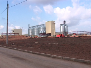 Когда же созреет "Зеленая роща"?