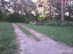 Орловский парк "Ботаника" взяли под государственную охрану