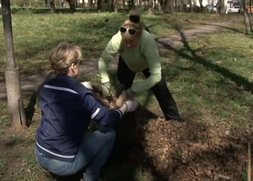 Субботник в Орловской области пройдет 24 апреля