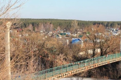 Стало известно, кто отремонтирует мост в районе парка Ботаника