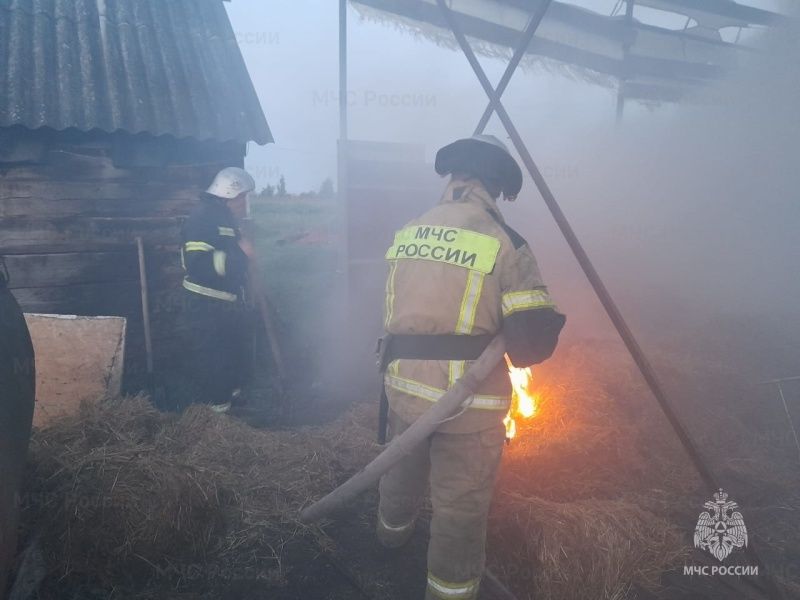 В поселке под Орлом сгорело 20 тюков с сеном 