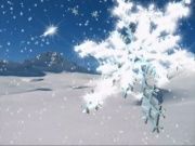 Поздравление Конюхова А. В. с Новым годом