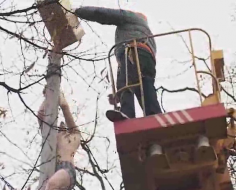 Завтра на Масленницу в орловском парке залезут на столб