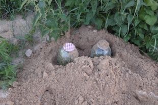 Полицейские нашли у амчанина более полукилограмма марихуаны