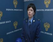 Ущерб от незаконной вырубки дубов и лип в «Орловчанке» оценили в 13 млн рублей