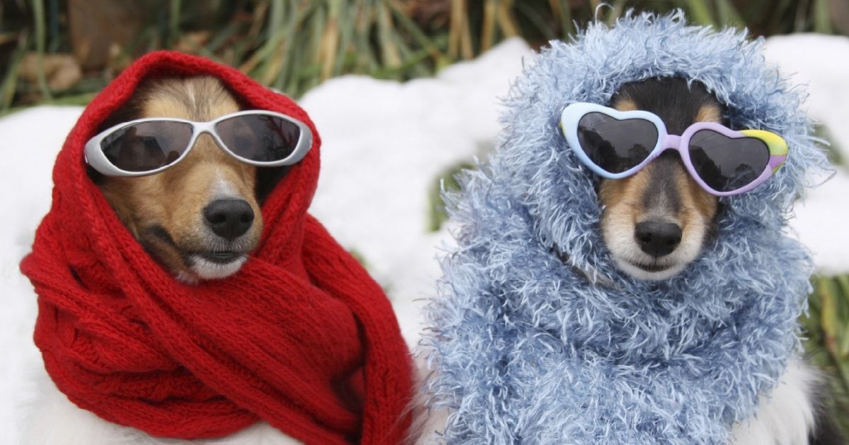 Холод и даже снег: жителей Центральной России пугают ультраполярным вторжением