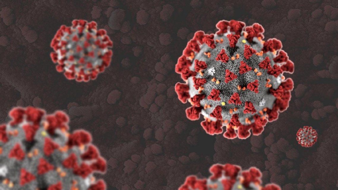 В России новый антирекорд, а на Орловщине выявили уже более 19 500 случаев COVID-19