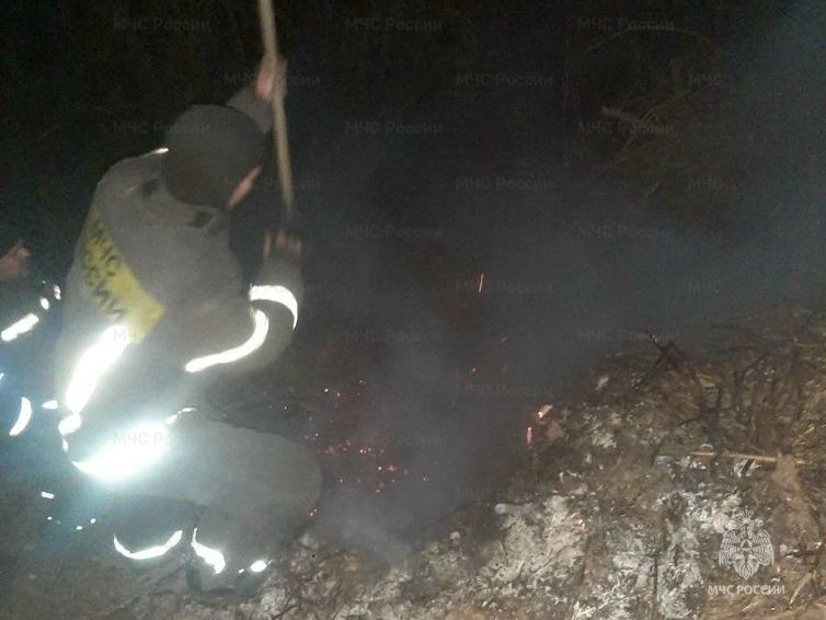 В Орле зафиксирован первый в этом году случай горения сухой травы