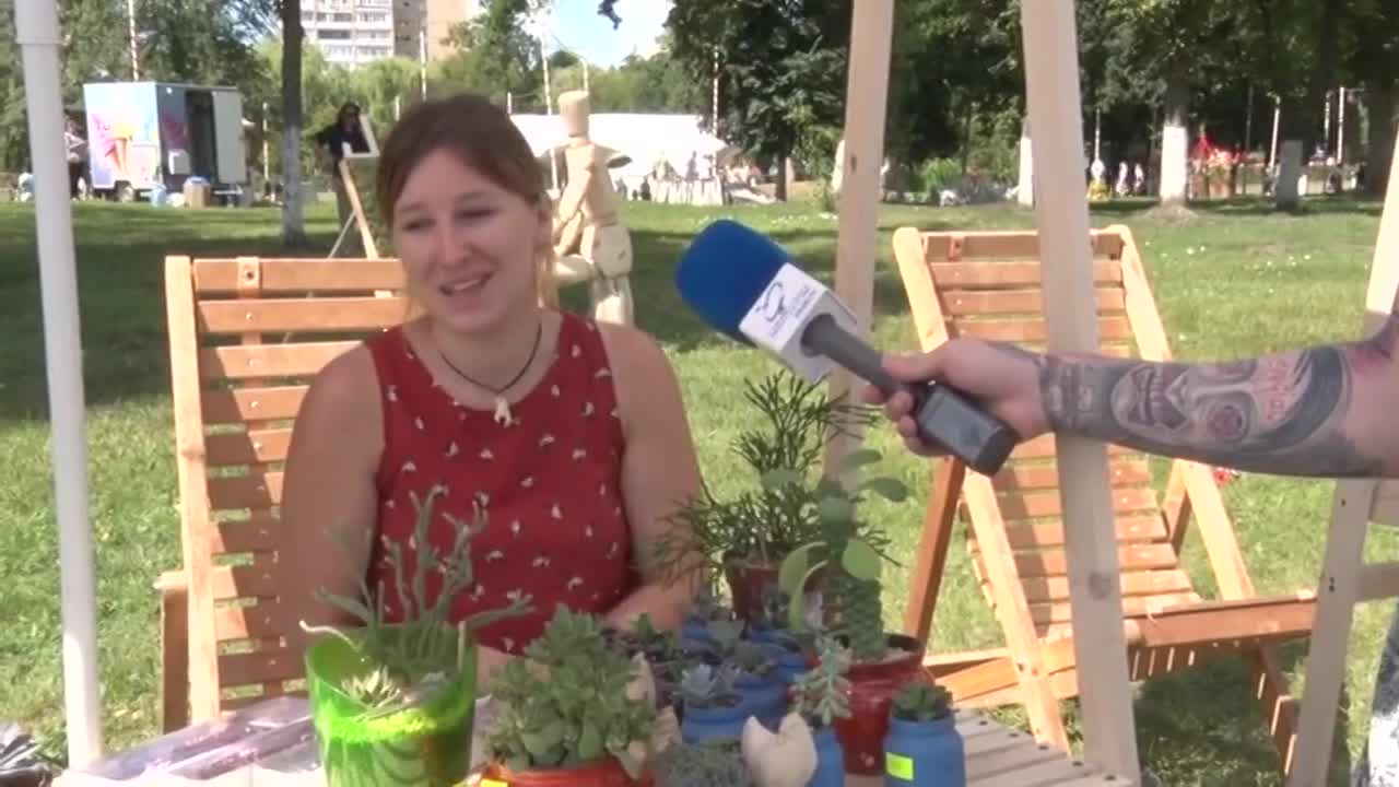 Буйство цветов и красок