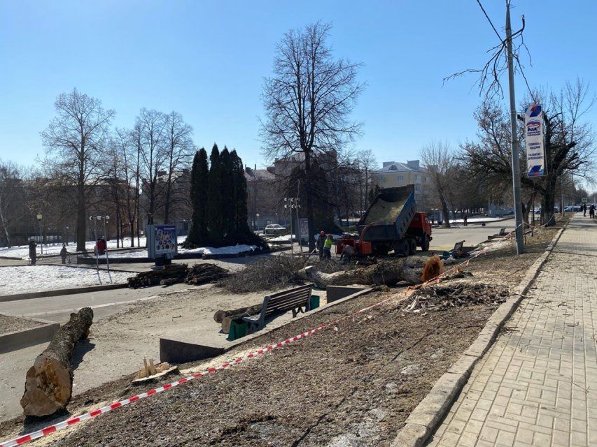 Глазами очевидцев: в Орле у городского парка опиливают деревья