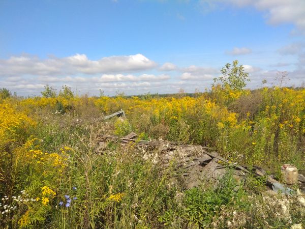 Возле Образцово никак не могут убрать двухкилометровую свалку