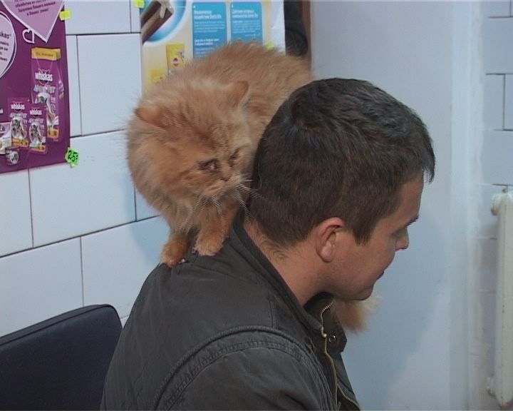 Акана — Все для животных