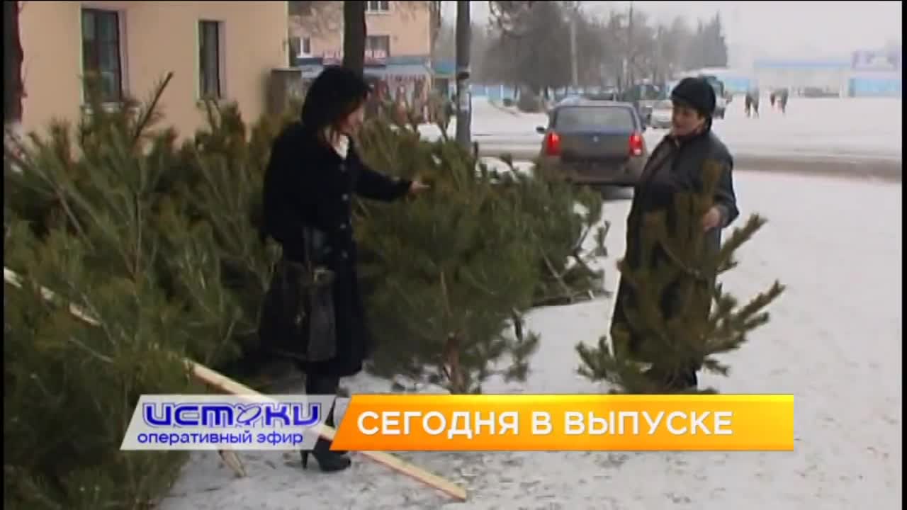 Орловский депутат предложил отправлять бездомных собак в зону СВО, Клычков рассказал о «сквозном инвестиционном потоке», а ёлки к Новому году можно бу...