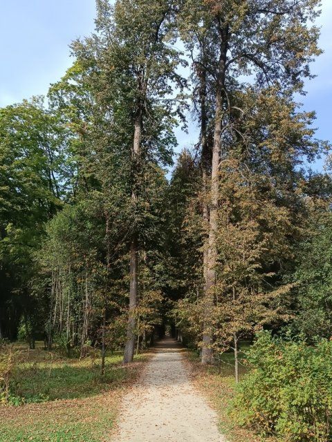 На Орловщине похолодает, хоть и ненамного 