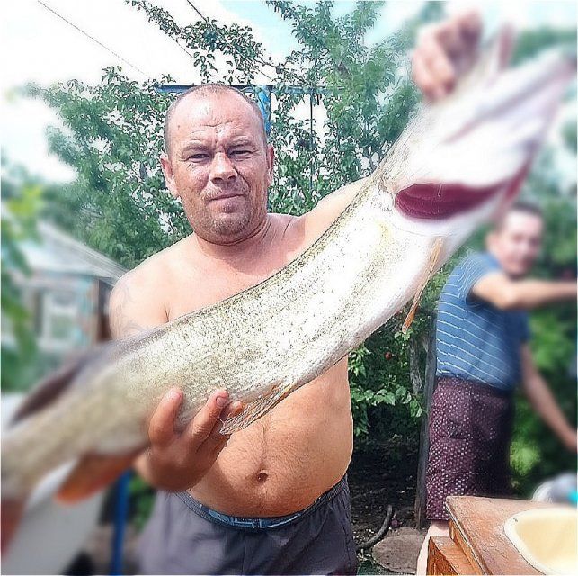 Орловчанин выловил щуку - «крокодила»