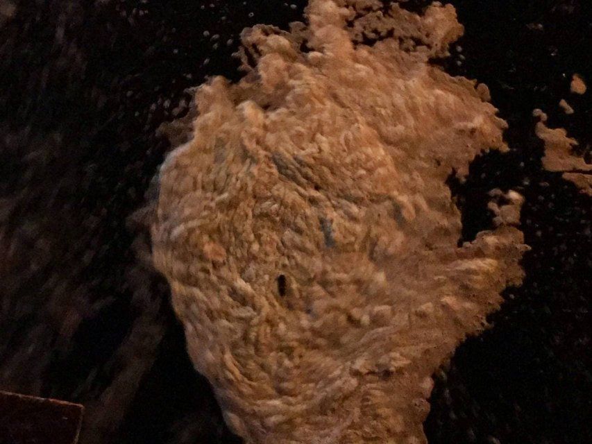 Глазами очевидцев: на р. Орлик жители запечатлели странную пену