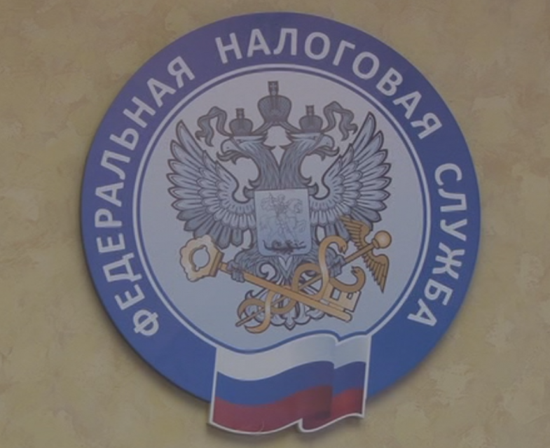 Самым популярными спецрежимами в Орловской области остаются УСН и НПД