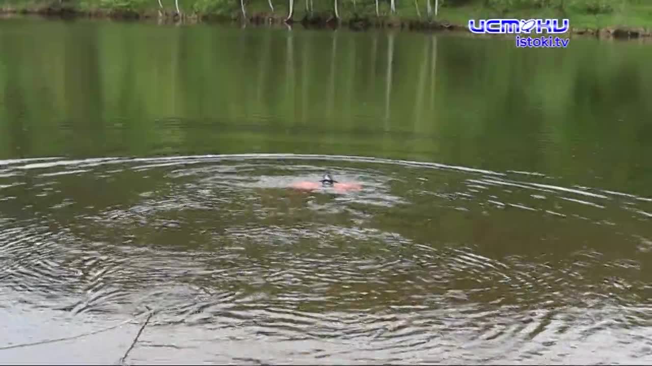 На Орловщине спасатели-водолазы сейчас активно обследуют дно водоёмов